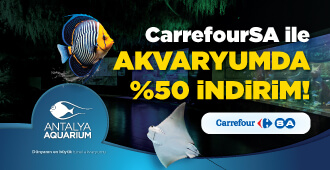 Carrefoursa